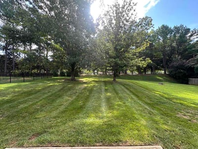 Lawn Care service in Mooresville, 28115