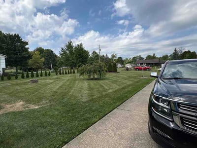 Lawn Care service in Painesville, 44077