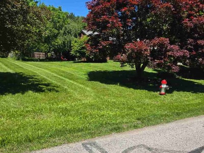 Lawn Care service in Painesville, 44077