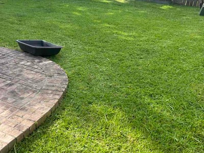 Lawn Care service in Tuscon, 85705