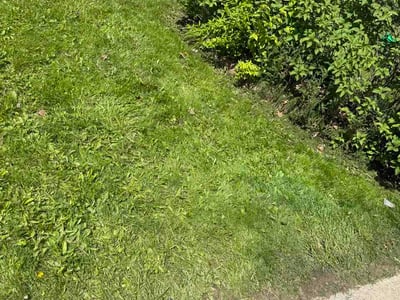 Lawn Care service in Merrillville, 46410