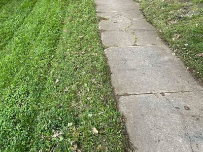 Lawn Care service in Lowell, 46356