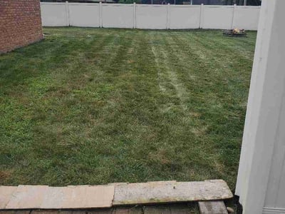 Lawn Care service in Lowell, 46356