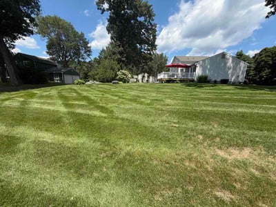 Lawn Care service in Farmington, 06032