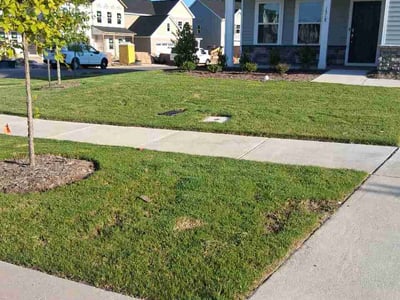 Lawn Care service in Roxboro, 27573