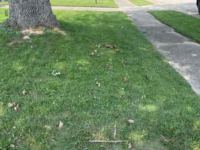 Lawn Care service in Norwood, 45212