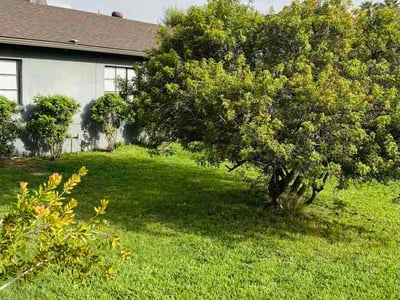 Lawn Care service in Maricopa, 85139