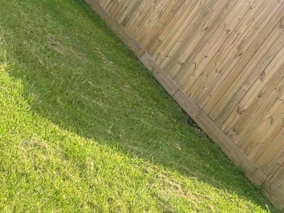 Lawn Care service in Santa Monica, 90401