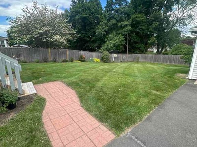 Lawn Care service in Simsbury, 06070