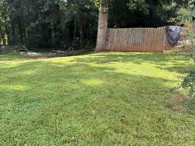 Lawn Care service in Granada Hills, 91344