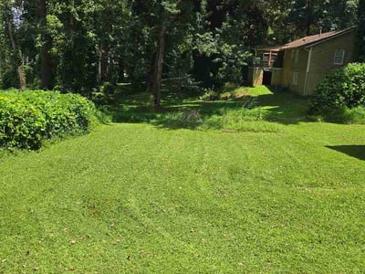 Lawn Care service in Granada Hills, 91344
