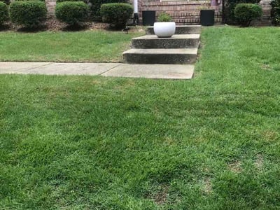 Lawn Care service in Pelham, 35124