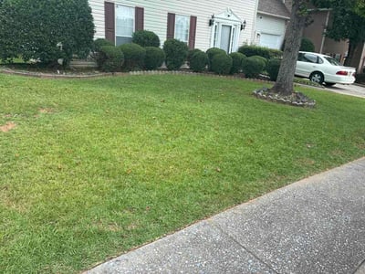 Lawn Care service in Pelham, 35124