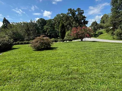 Lawn Care service in Asheboro, 27203