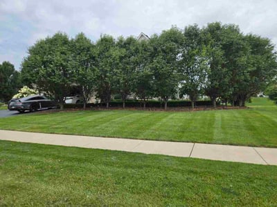 Lawn Care service in Surprise, 85374