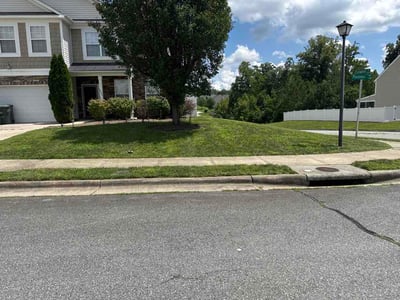 Lawn Care service in Asheboro, 27203
