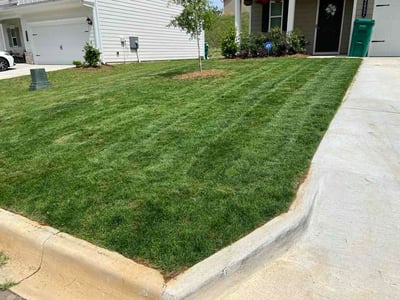 Lawn Care service in Leeds, 35094