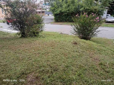 Lawn Care service in Leeds, 35094
