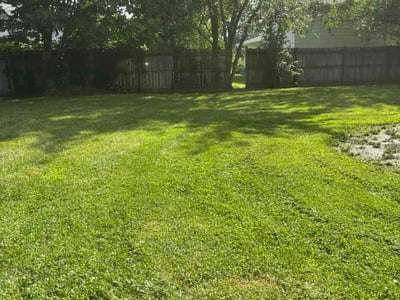 Lawn Care service in Wellington, 44090