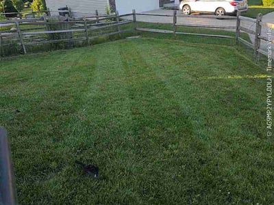 Lawn Care service in Lebanon, 45036