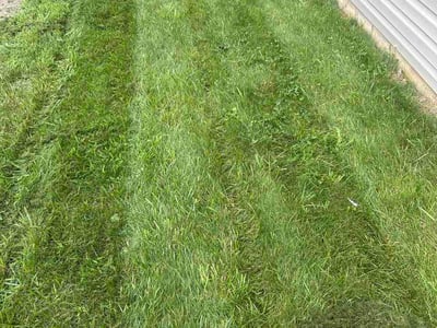 Lawn Care service in Cleves, 45002