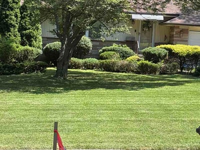 Lawn Care service in North Olmstead, 44070