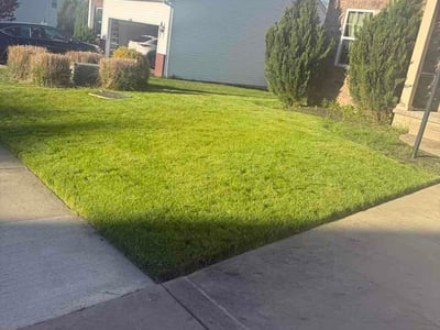 Lawn Care service in Willoughby, 44094