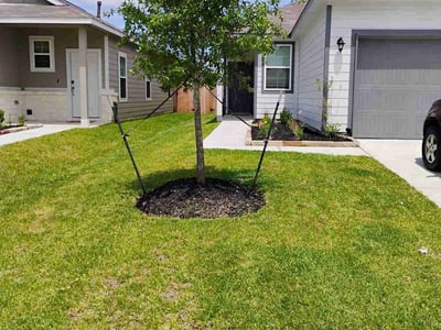 Lawn Care service in Glendora, 91741