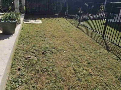 Lawn Care service in Long Beach, 90802