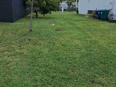 Lawn Care service in Sun City, 85351