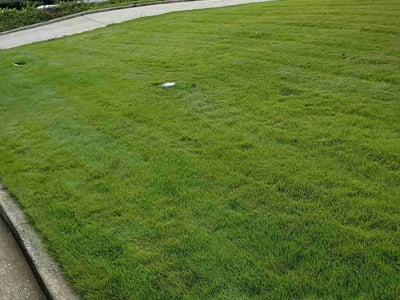 Lawn Care service in Baldwin Park, 91706