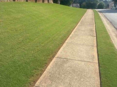 Lawn Care service in Baldwin Park, 91706