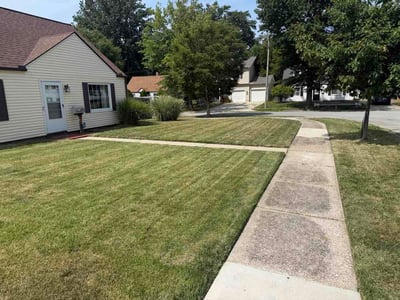Lawn Care service in Euclid, 44123