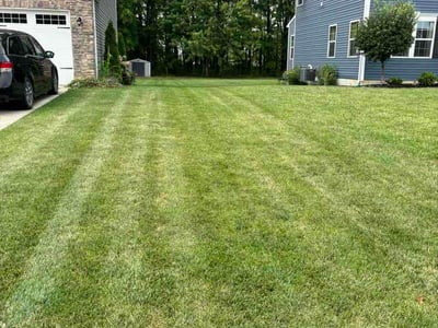 Lawn Care service in North Ridgeville, 44039