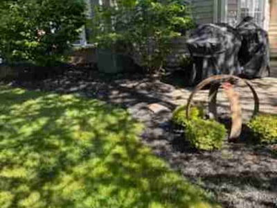 Lawn Care service in Encino, 91316