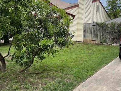 Lawn Care service in Encino, 91316