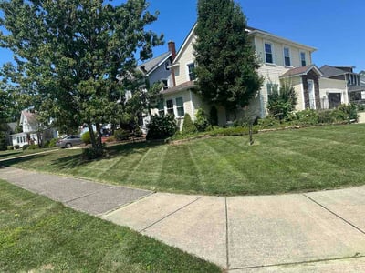 Lawn Care service in Bedford, 44146