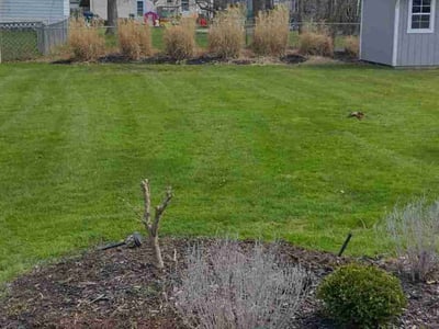 Lawn Care service in Bedford, 44146