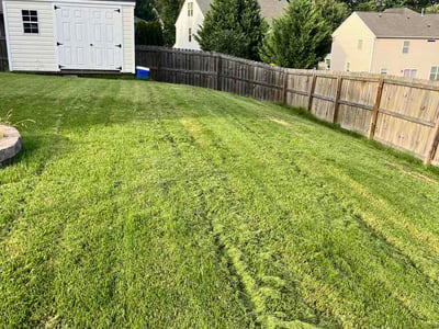 Lawn Care service in Clover, 29710