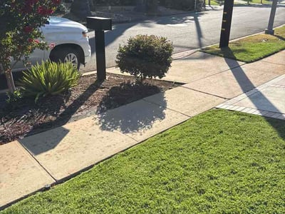 Lawn Care service in Hemet, 92543