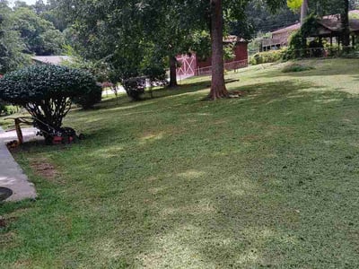 Lawn Care service in Compton, 90220