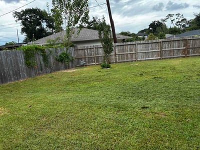 Lawn Care service in Burbank, 91502