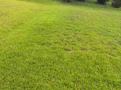 Lawn Care service in Elgin, 29045