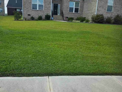 Lawn Care service in Elgin, 29045