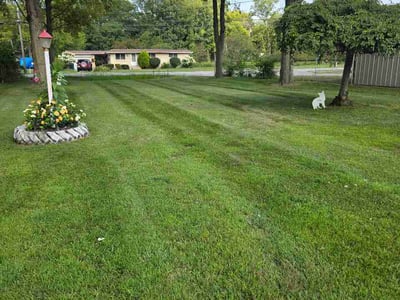 Lawn Care service in Redford, 48239
