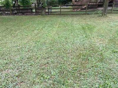 Lawn Care service in Fairfield, 45014