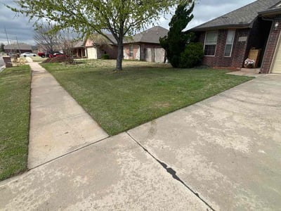 Lawn Care service in Paradise, 89119