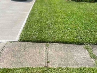 Lawn Care service in Batavia, 45103