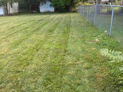 Lawn Care service in Wickliffe, 44092