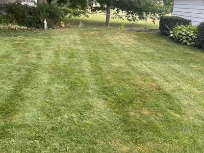 Lawn Care service in Redford, 48239